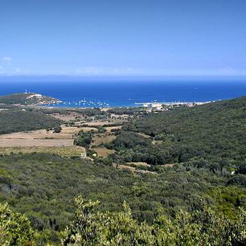 Tour génoise de Rogliano